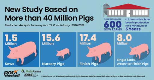 Infographic: New study based on more than 40 million pigs