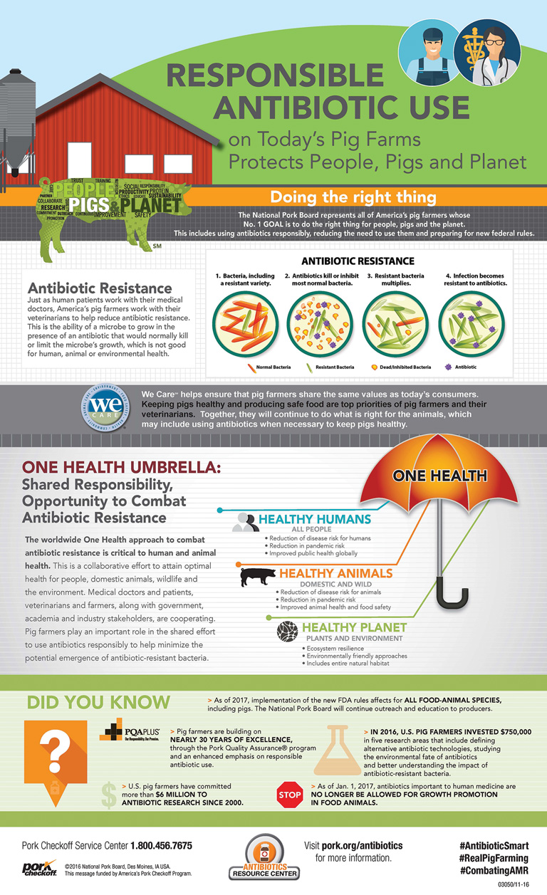Infographic on responsible antibiotic use
